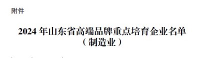 喜訊！公司榮登2024年度山東省高端品牌培育企業(yè)榜單
